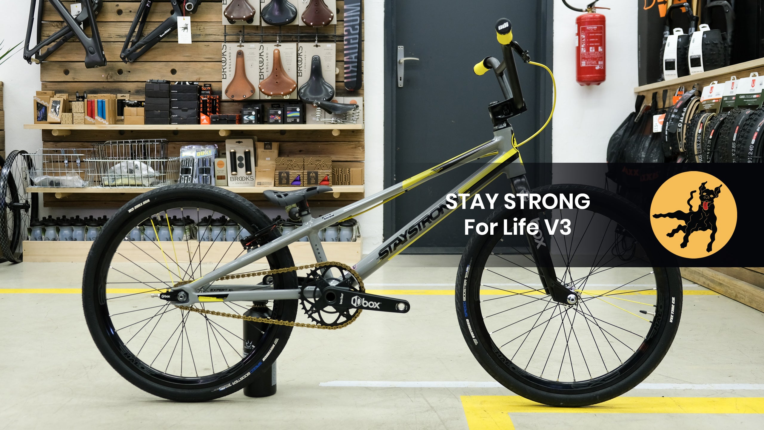 Stay Strong For Life V3