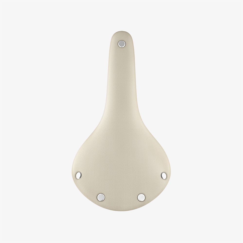 Brooks C17 saddle