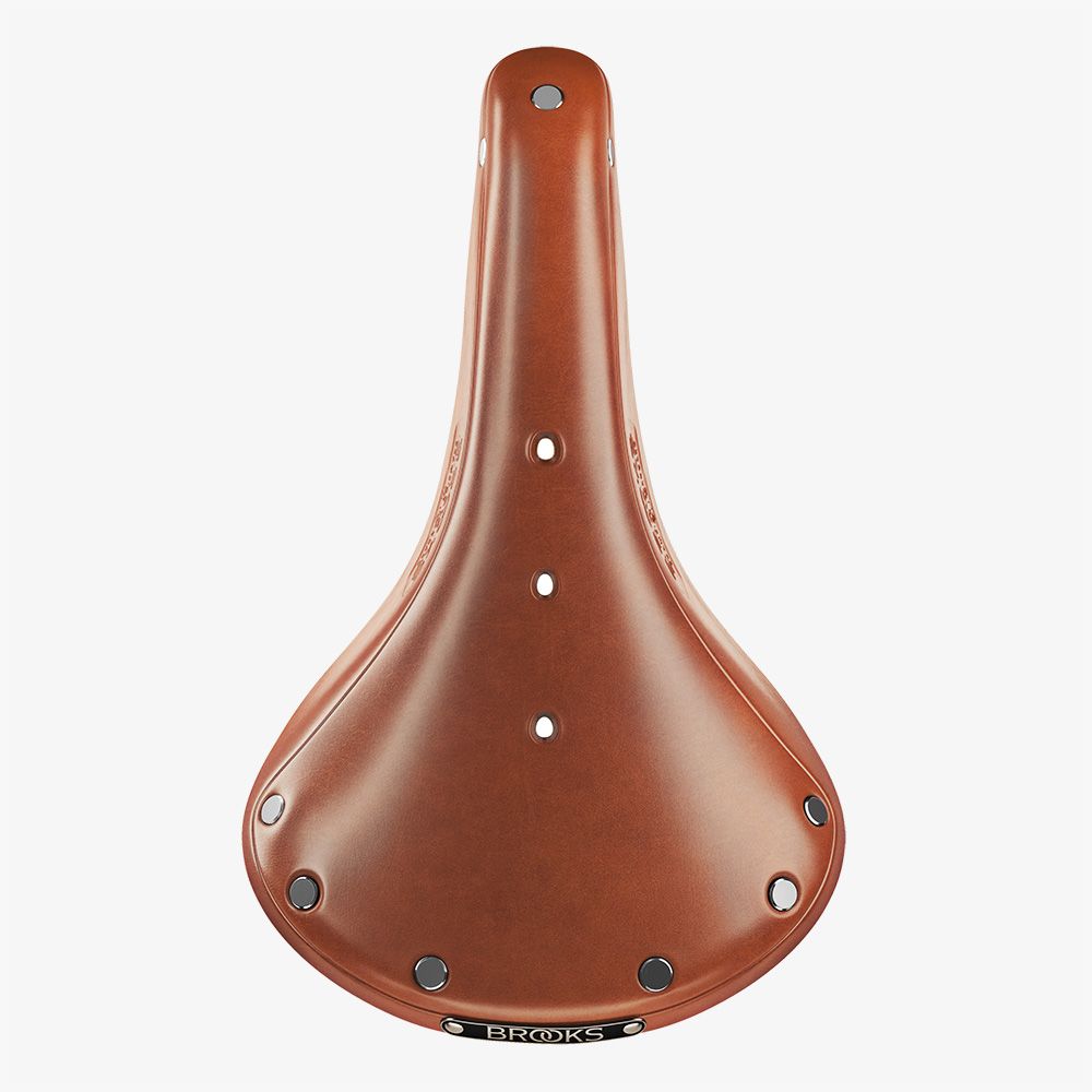 Brooks B17 saddle