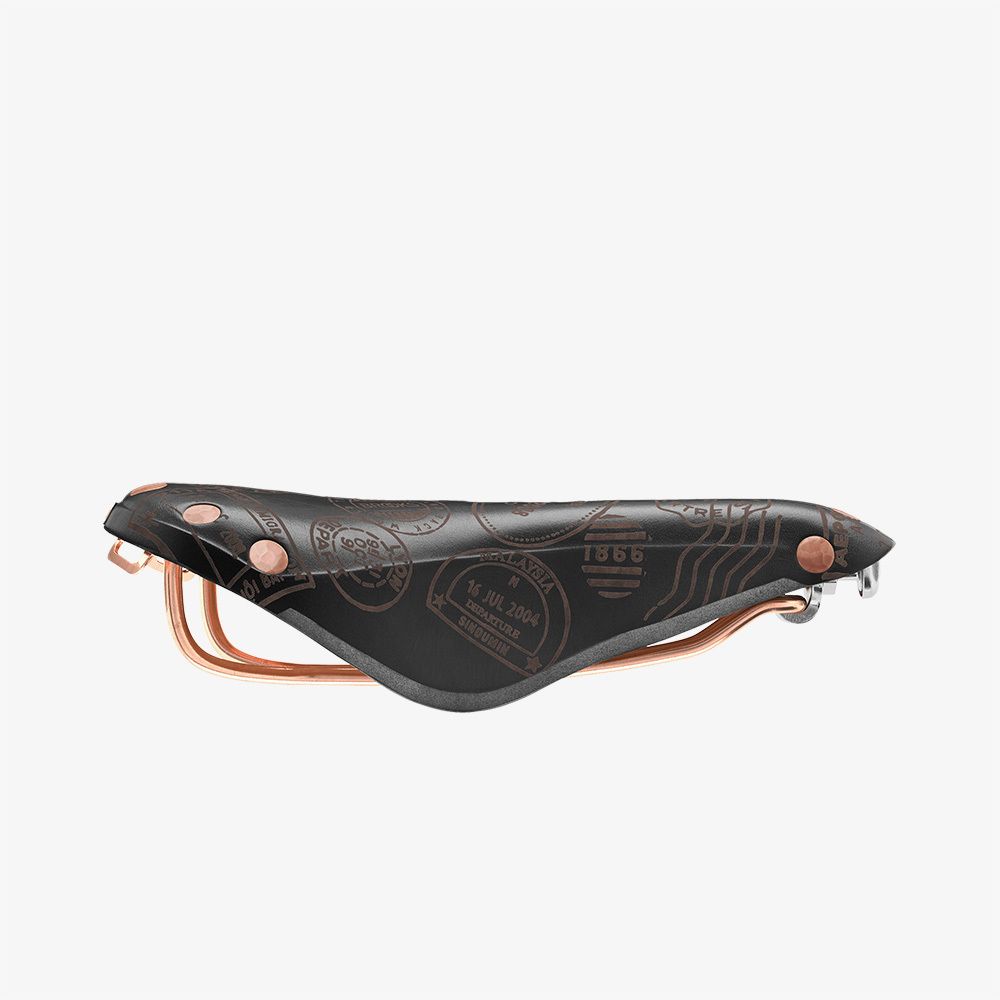 Brooks B17 limited edition saddle