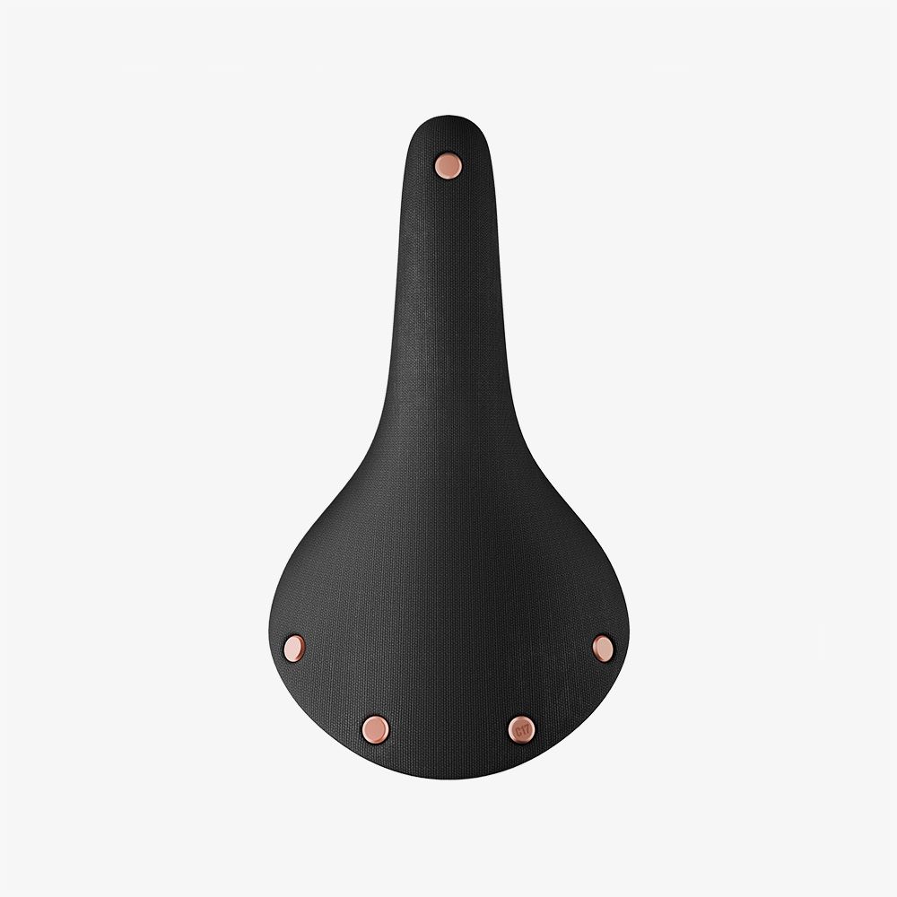 Brooks C17 saddle