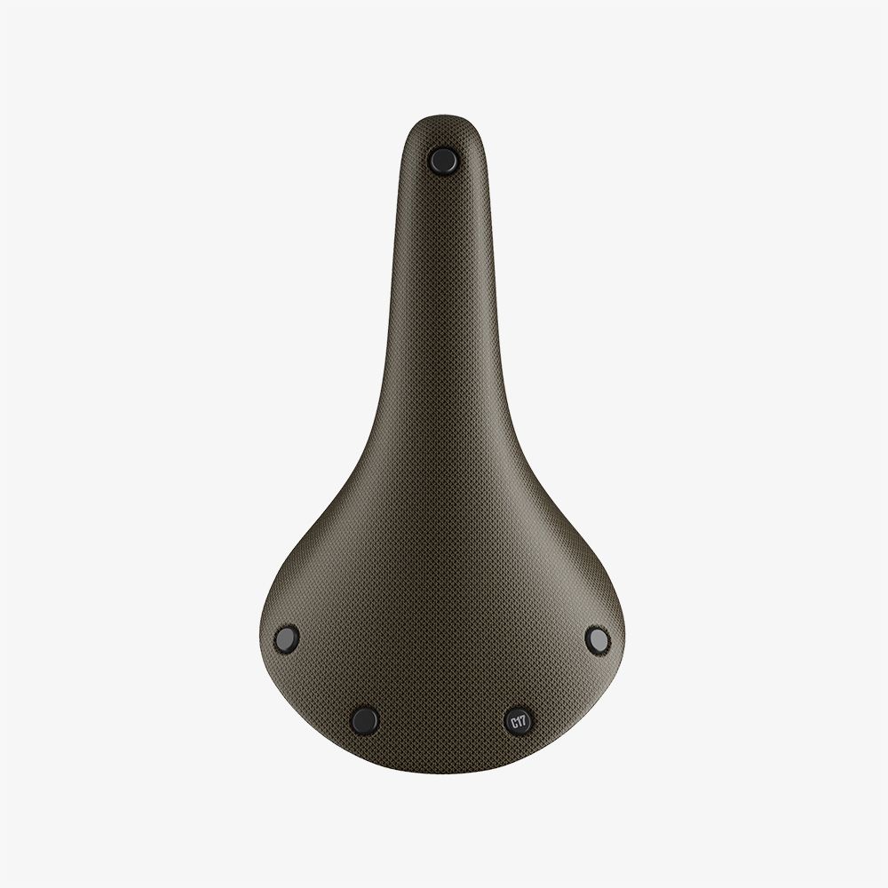 Brooks C17 saddle