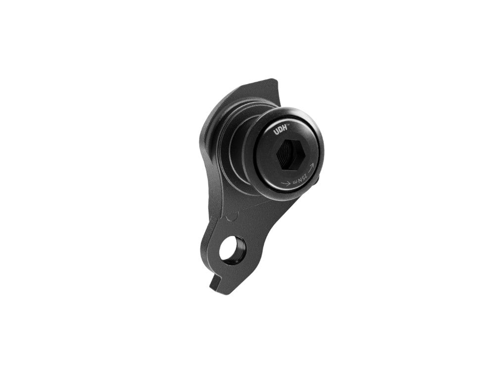 sram-udh-universal-derailleur-hanger.jpg